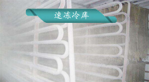 速凍冷庫安裝方案